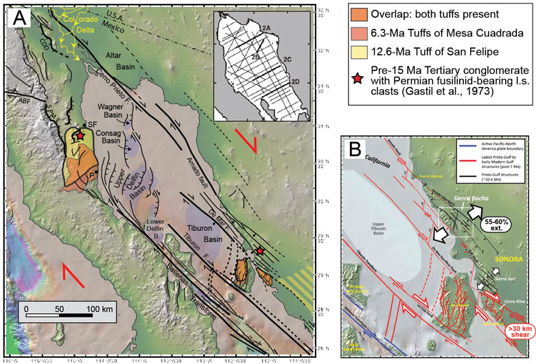 Figure 3. (A) Map of topography, bathymetry, faults and basins in the northern Gulf of California, compiled from numerous published sources. The northern Gulf contains several pull-apart basins bounded by large transform faults. Active diffuse deformation in the Delfin basin occurs on closely-spaced oblique-slip faults, and there is no evidence for existence of oceanic crust at depth. Much of the crust is sedimentary due to the high rate of input from the Colorado River. ABF, Agua Blanca fault; CDD, Canada David detachment; SPMF, San Pedro Martir fault. P, Puertecitos; SF, San Felipe. (B) Simplified tectonic model for late Miocene to modern kinematic evolution of the northern Gulf of California. Geologic relations in coastal Sonora record a period of NE-SW extension between about 10 and 6 Ma (black faults; Darin, 2010), and rapid focusing of strain into a narow zone of dextral transtensional deformation and related offshore faults at ca.7-8 Ma (red faults; Bennett et al., in press). Plate boundary motion now occurs on the Ballenas transform (blue faults).